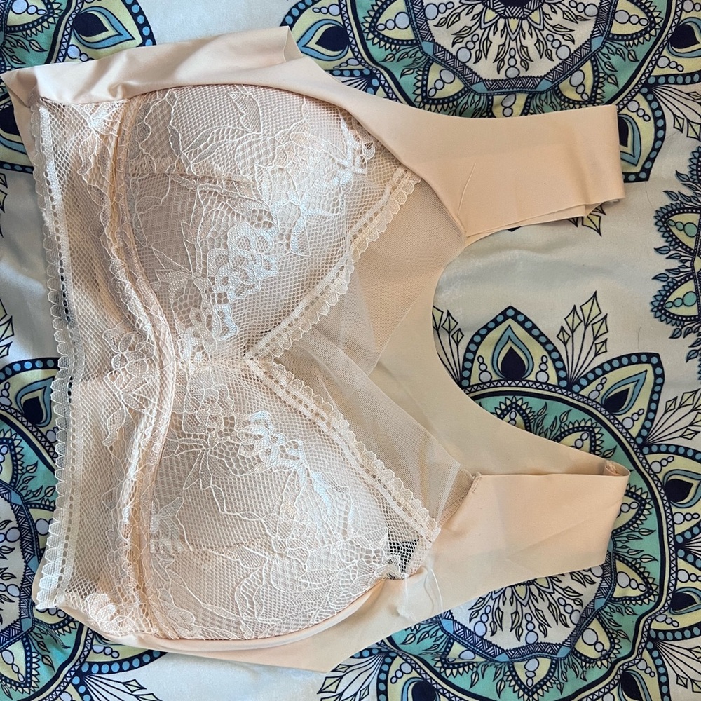 Elegant Lace Beige Bra